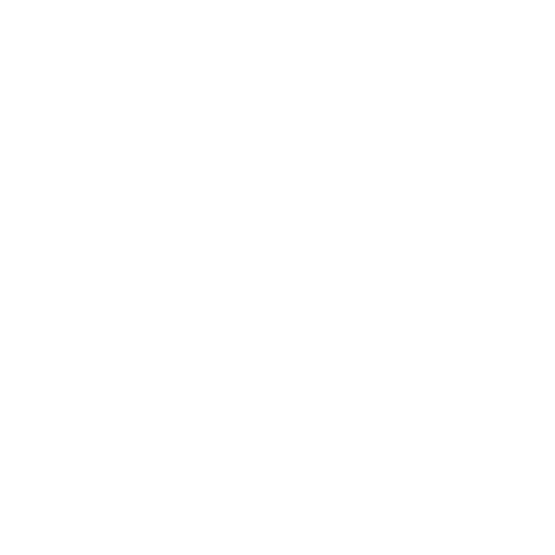 Analytic Insights Logo